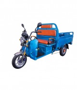 Tricicleta Electrica ZT30 CARRIER BLUE